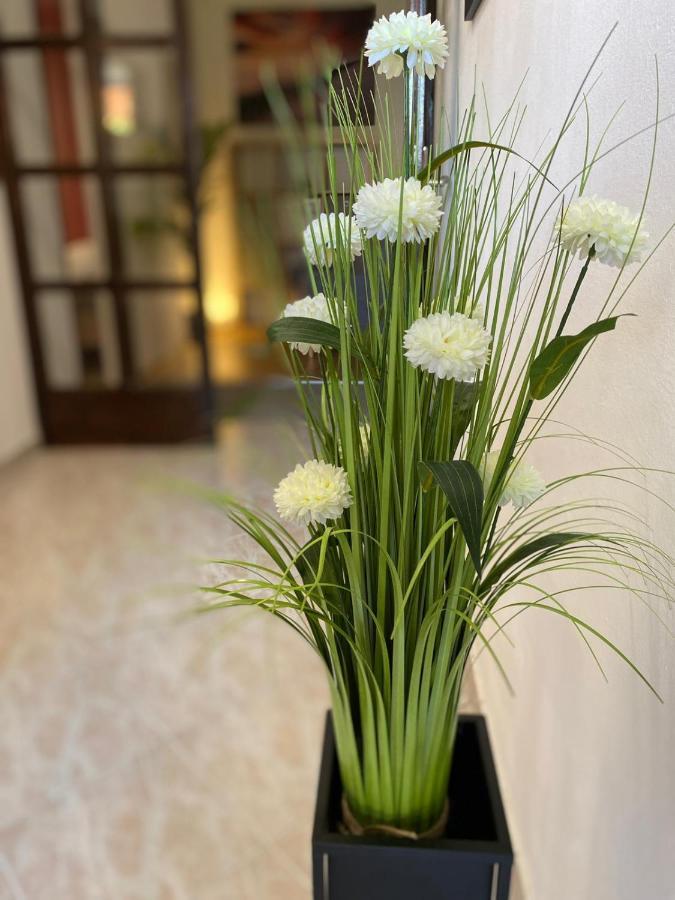 Dora Appartement Zadar