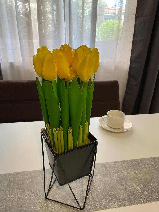 Dora Appartement